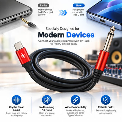 USB-C to Mono Audio Cable